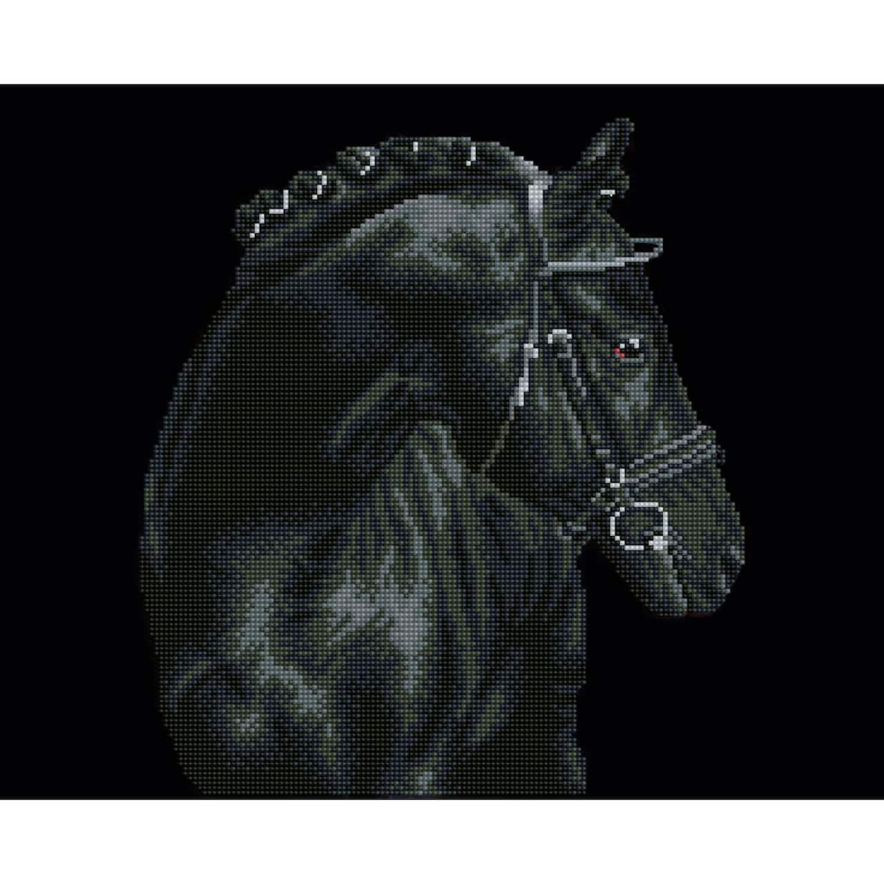 Diamond Dotz® Intermediate Black Sheen Diamond Painting Kit